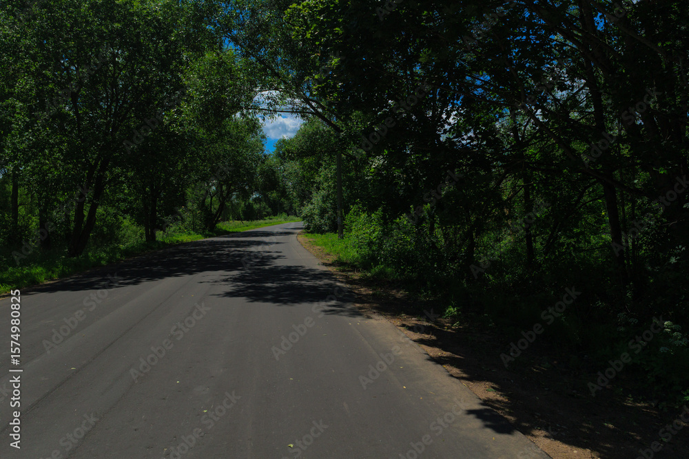 Fototapeta premium Road view on a summer day. Highways, roadside and white road line markings.