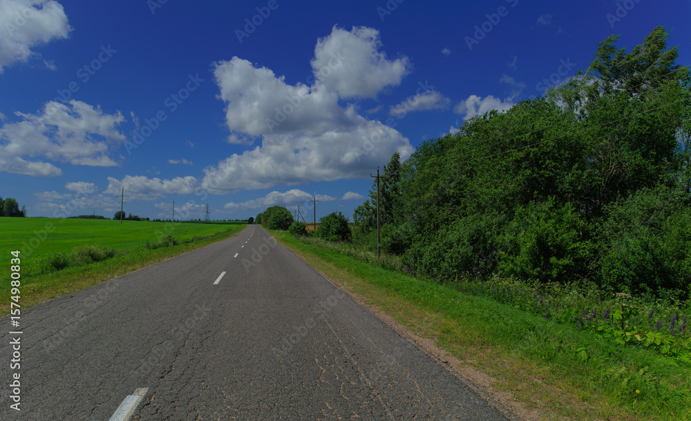 Fototapeta premium Road view on a summer day. Highways, roadside and white road line markings.