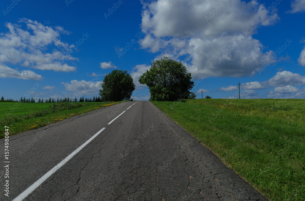 Fototapeta premium Road view on a summer day. Highways, roadside and white road line markings.