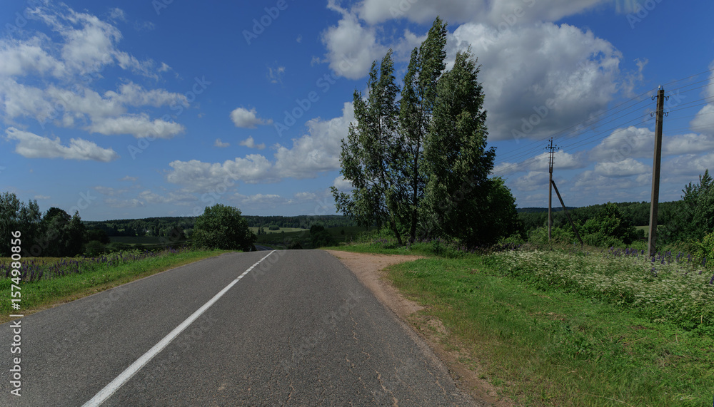 Fototapeta premium Road view on a summer day. Highways, roadside and white road line markings.