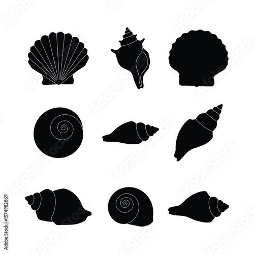 Black silhouette illustrations of various seashells, isolated on white background.