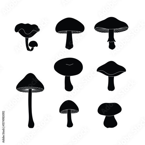 A collection of various mushroom silhouettes in black against a white background.