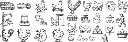Chicken Farm Elements Illustration with Hens Roosters Eggs and Chicks