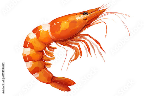 Bright orange shrimp illustration with curved boyuigytuiytui 2.png