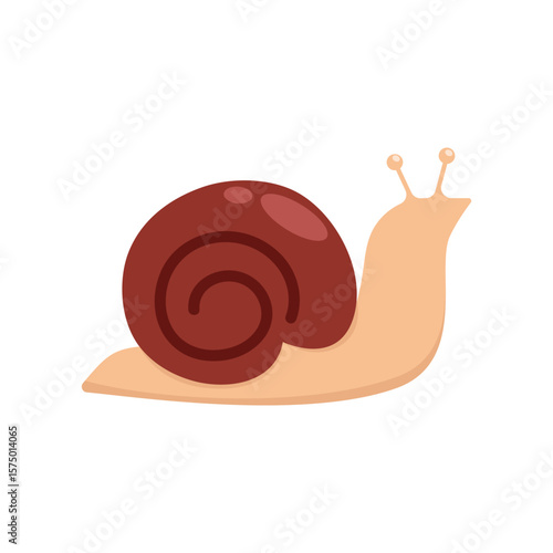 Snail Animal Icon Vector Design.