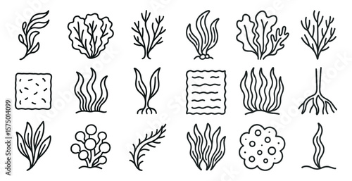 Set of drawings of various plants and seaweed. The drawings are in black and white and are stylized