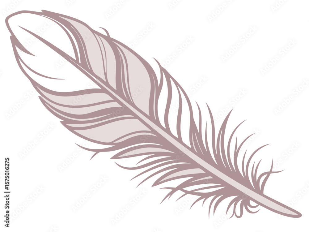 Obraz premium a stylized light brown or greyish-pink feather with defined barbs isolated on a white background 