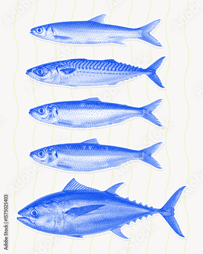 Blue stippled illustration of five different fish species arranged vertically on a white background