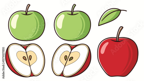 Vibrant hand drawn apples and slices with leaf