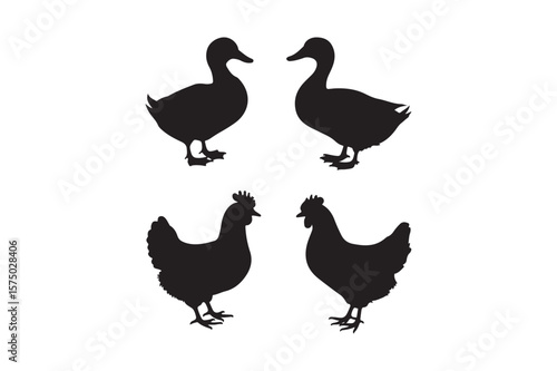 Black silhouettes of two ducks and two chickens facing each other
