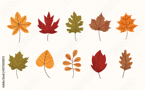 Set of autumn leaves. Collection of colorful fall foliage in flat vector style. Oak, maple, heart and ginkgo leaves. Botanical clipart isolated on white background.