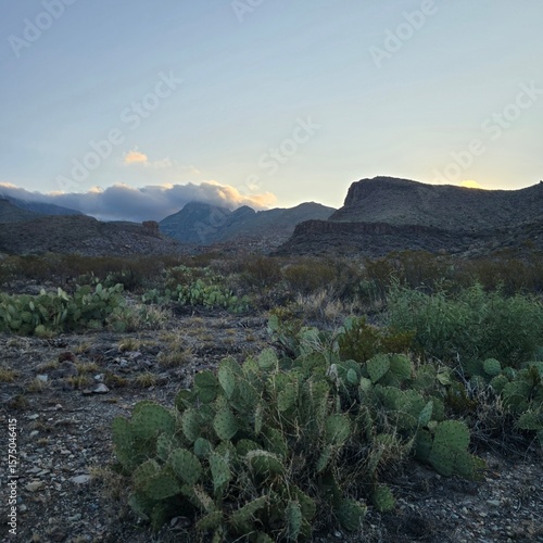 landscape of the mountains