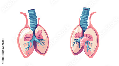 Thyroid Cartoon Design & Human Anatomy Organs
