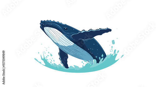 Lone Humpback Whale Calf On White Background for Stock Photos