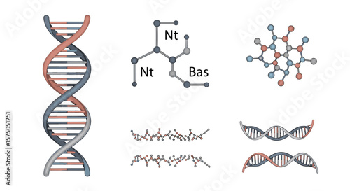 Illustration of dna structures including double helix, molecular bonds, and nucleotide arrangements