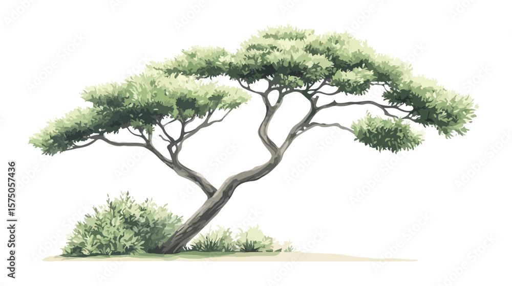 Obraz premium Lush Green Foliage of Perfect Tree with Nice Sky