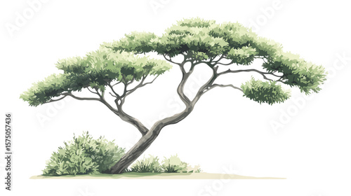 Lush Green Foliage of Perfect Tree with Nice Sky