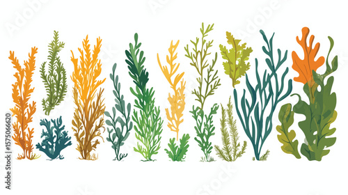 Vibrant Plants and Aquatic Marine Seaweed Vector Illustration