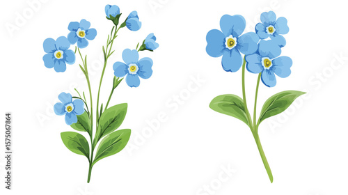 Vibrant Realistic Forget-Me-Not Flower Vector Illustration