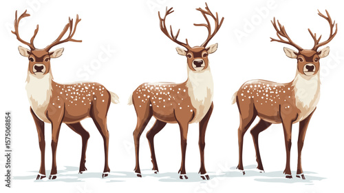 Graceful Reindeers Vector Isolated on White Background