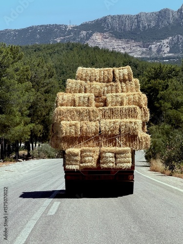 Truck carrying large hay bales on rural road. Agricultural transport with stacked dry grass, typical farm logistics and countryside scenery.