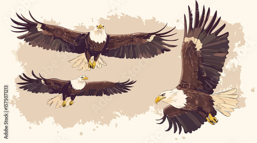 Vintage Beautiful Flying Eagles Vector Set