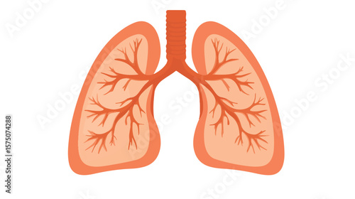 Detailed Human Lungs Flat Vector Design on White Background