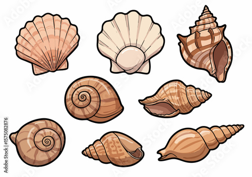 Collection of Various Cartoon Seashell Illustrations on a White Background Featuring Different Shapes and Types of Marine Mollusk Shells