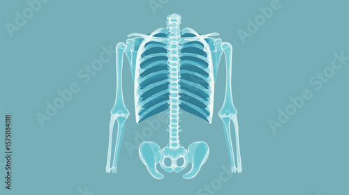 Professional X-ray Medical Healthcare Exam Flat Icon Symbol