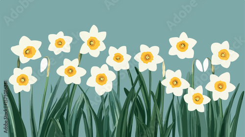 Exquisite Hand-Drawn Narcissus Flowers Illustration in Flat Style