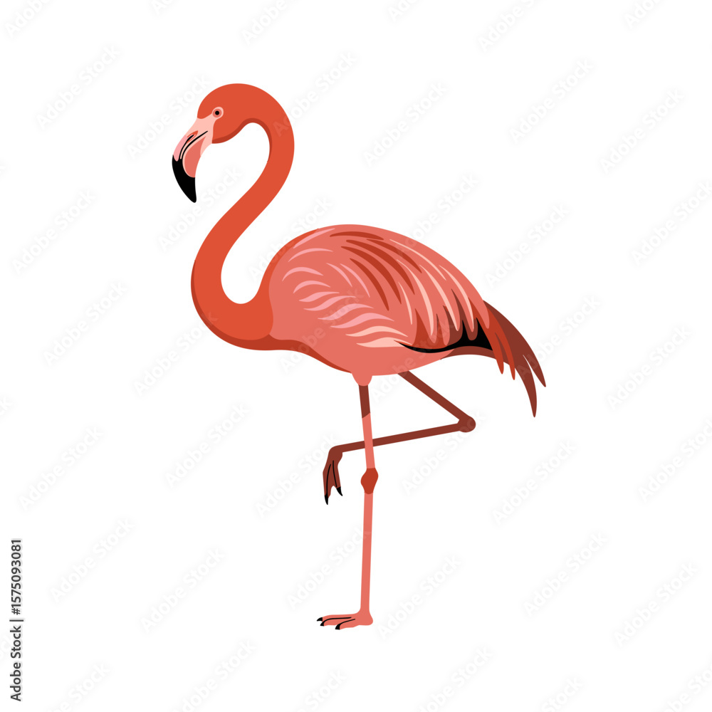 Fototapeta premium Vector illustration of a standing pink flamingo with one leg raised 