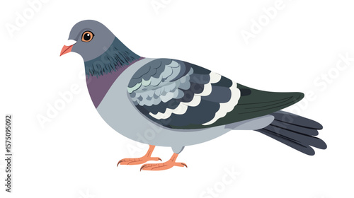 Cute Pigeon Bird Cartoon Character Design in Flat Style