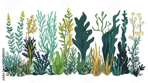 Vibrant Plants and Aquatic Marine Seaweed Vector Illustration