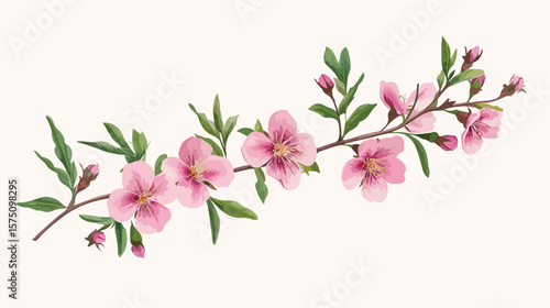 Realistic Waxflower Vector Illustration for Professional Designs