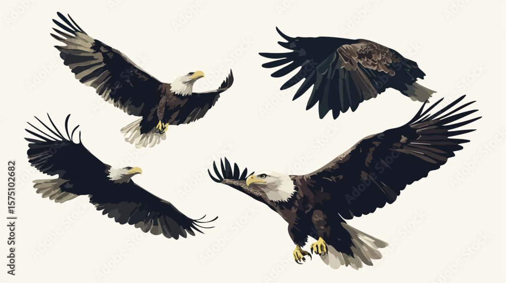 Fototapeta premium Vintage Beautiful Flying Eagles Vector Set