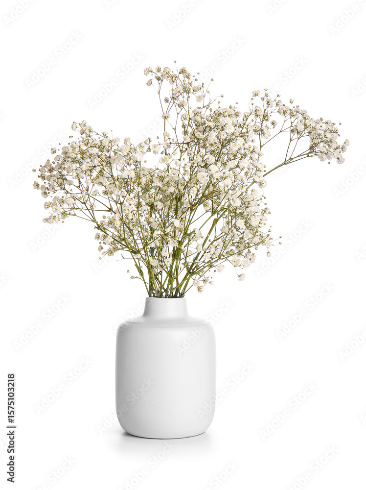 Fototapeta premium Vase with gypsophila flowers isolated on white background