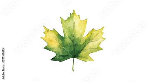 Green leaf icon isolated on white background for eco-friendly design projects