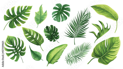 Crisp Leaf Vector on White Background for Graphic Design Projects