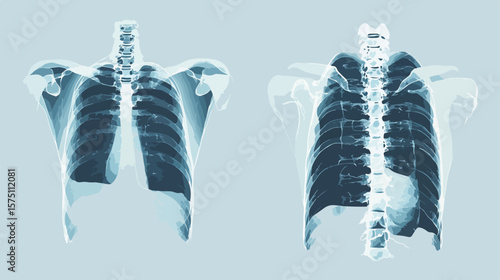 Professional X-ray Medical Healthcare Exam Flat Icon Symbol