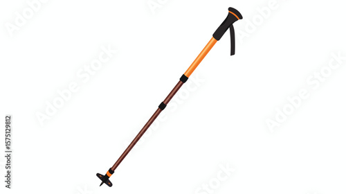 Nordic Walking Pole Flat Vector Design Isolated