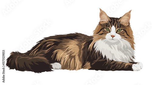 Norwegian Forest Cat Vector Isolated on White Background