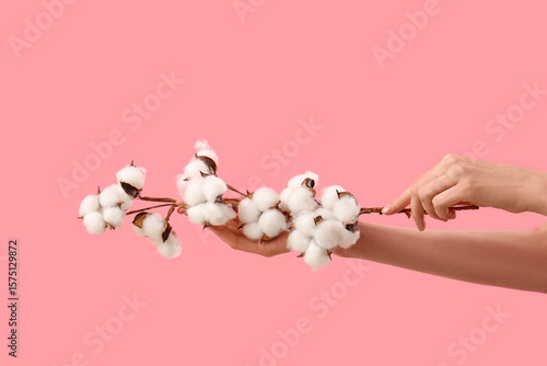 Female hands holding branch...