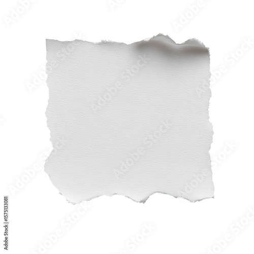 A square of white torn paper with a rough texture is isolated on transparent background