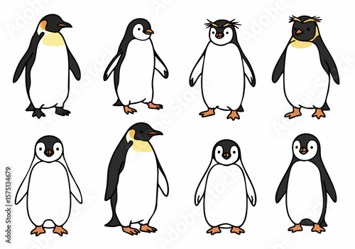 Cartoon penguins collection isolated on white, featuring different species, sizes, and cute poses for diverse design projects and wildlife themes.