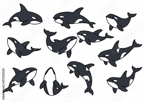 Cute Cartoon Orcas and Killer Whales Illustration Set in Various Poses