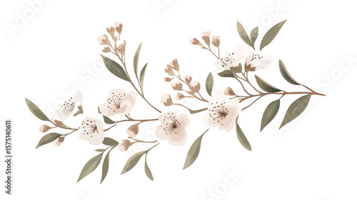 Realistic Waxflower Vector Illustration for Professional Designs