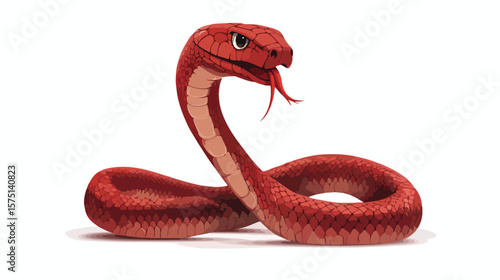 Red Cobra Coiled with Raised Hood and Tongue