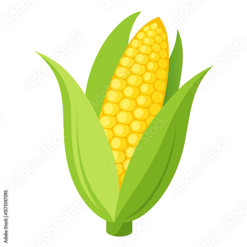 A vibrant illustration of a ripe yellow ear of corn with green husks against a clean white background