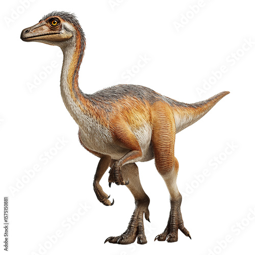 Gallimimus isolated on transparent background