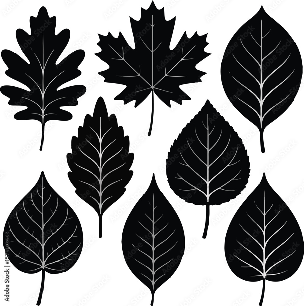 Obraz premium Collection of Abstract Black Vases Modern Art Silhouettes